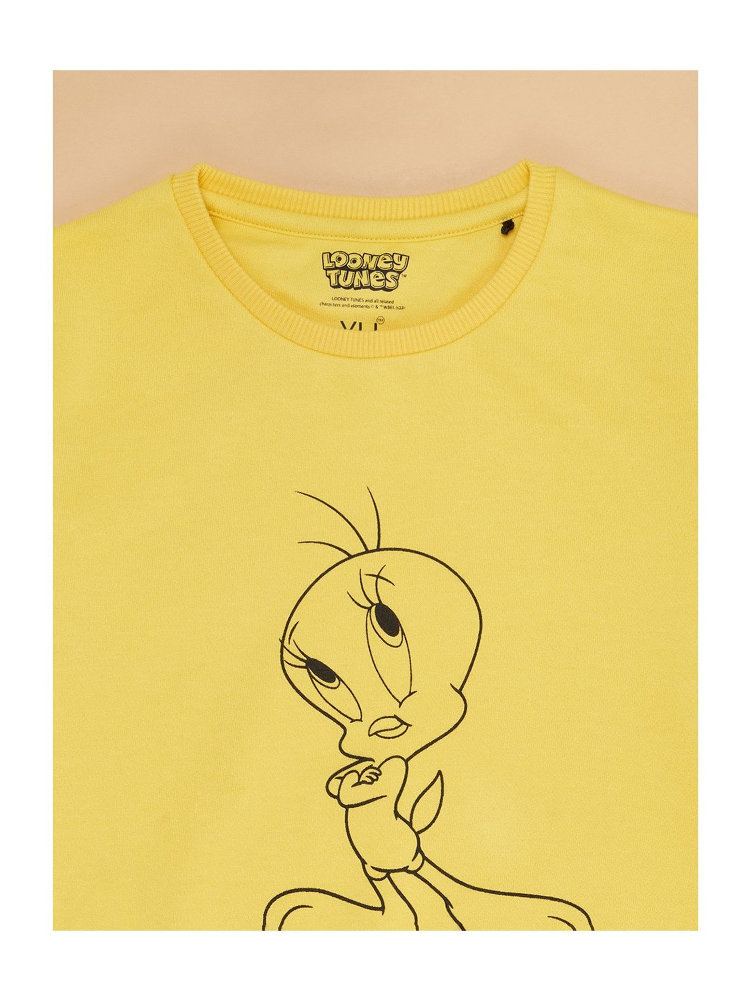 KIDS ONLY Blue Cotton Embroidered Full Sleeves Sweatshirt