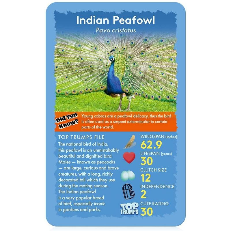 Top Trumps Birds Top Trumps Card Game