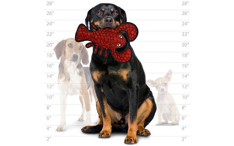 Tuffy Ocean Creature Lobster Dog Toy - Red