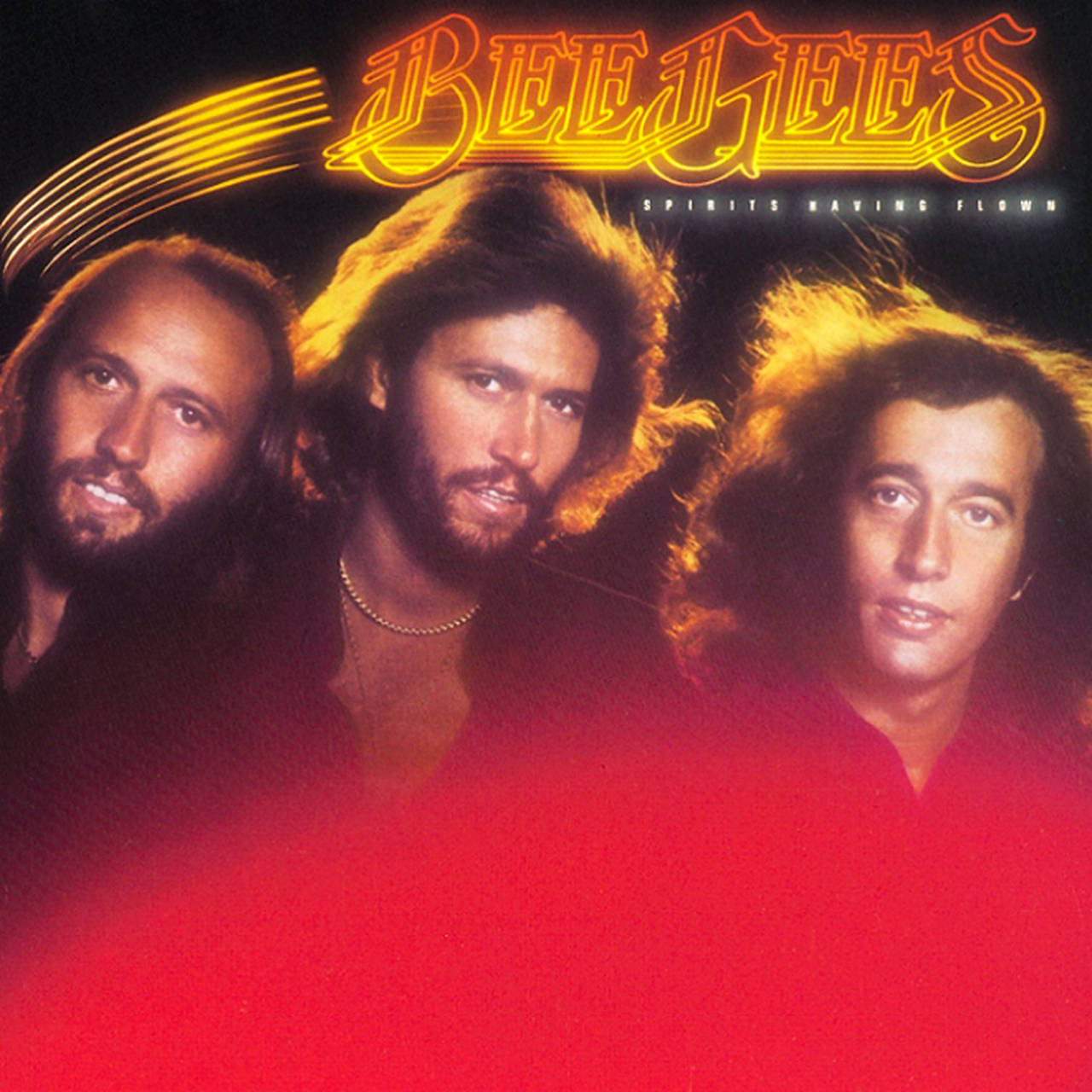 The Bee Gees Spirits Having Flown LP (Vinyl)