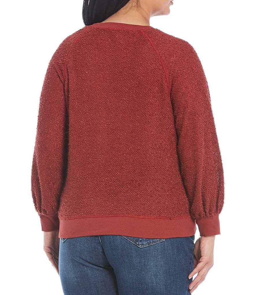 Democracy Plus Size Crew Neck Long Blouson Sleeve Novelty Knit Sweatshirt