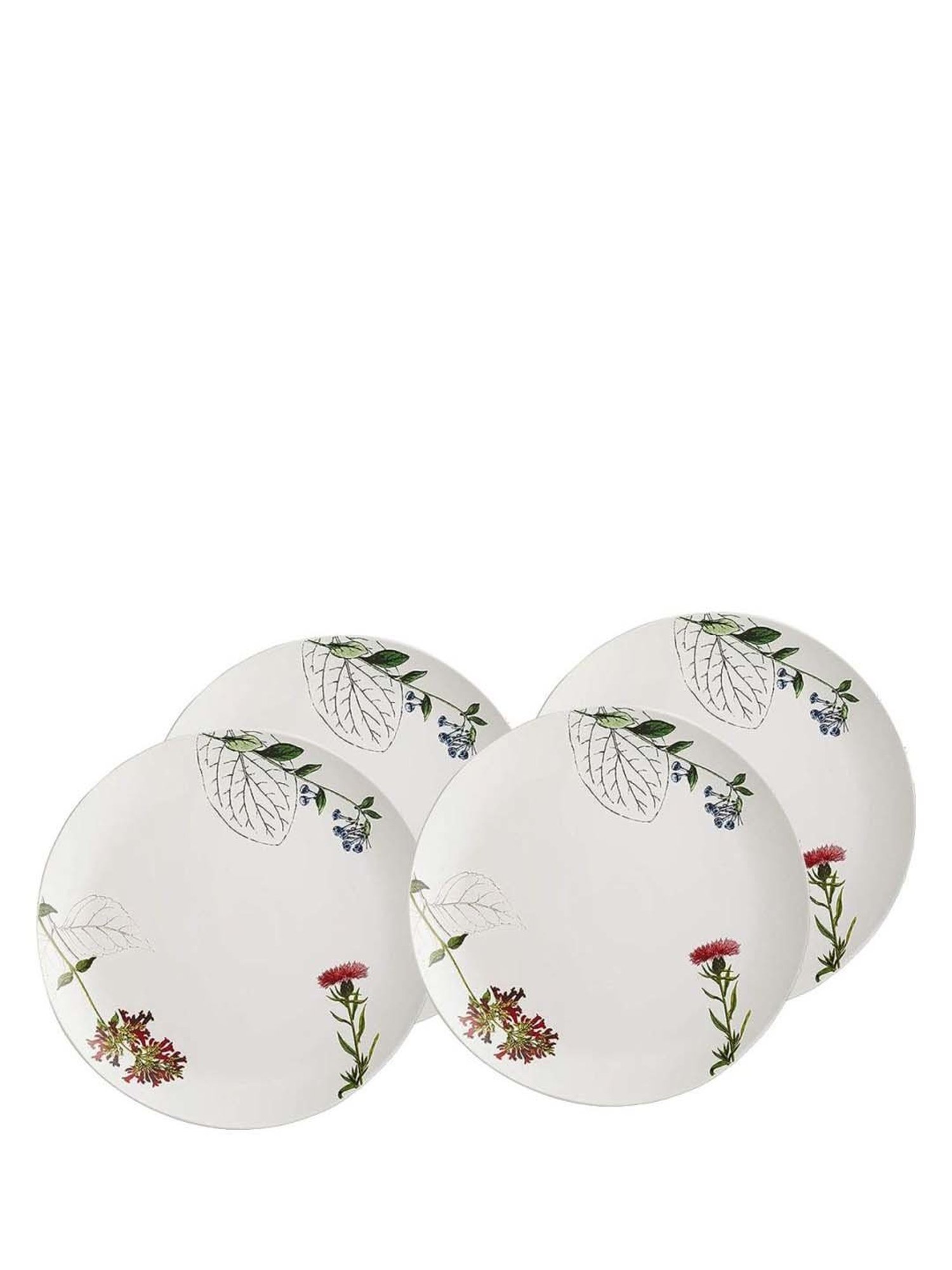Rosanna 4-Piece Multi Medium Floral Print Appetizer Plate Set