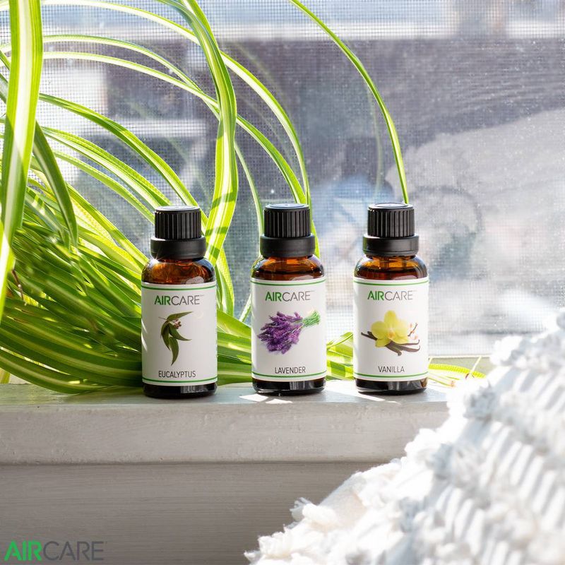 AIRCARE 3 bottles/10ml Variety Pack Essential Oil EOVEL103PK