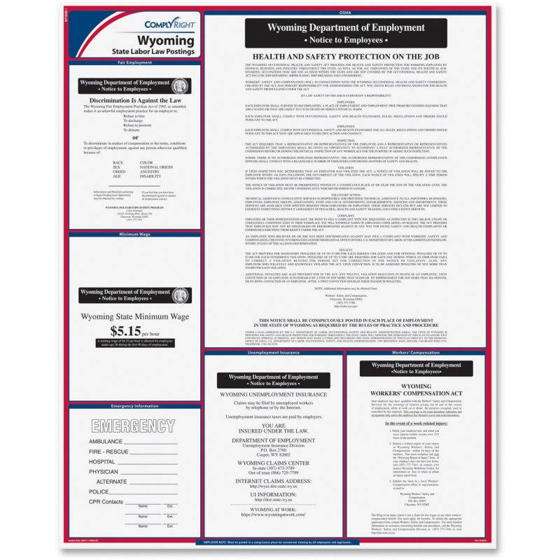 ComplyRight Wyoming State Labor Law Poster, 24" x 30", Laminated - 1 per Pack