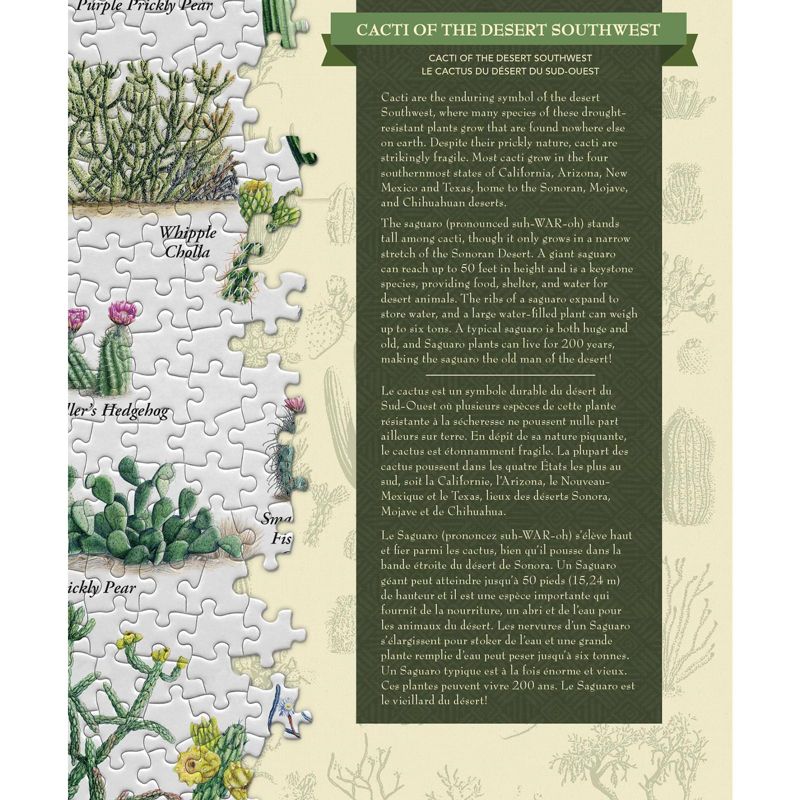 MasterPieces Inc Cacti of the Desert Southwest 1000 Piece Linen Jigsaw Puzzle