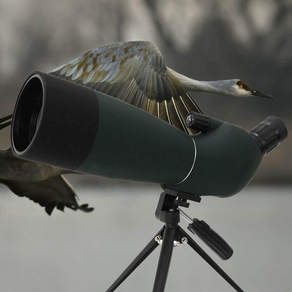 LOYALHEARTDY Aluminum Tripod Black Spotting Telescope, Anti-fog and Waterproof, Suitable for Outdoor Bird/Star Watching 25-75X70