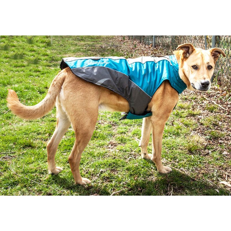 Royal Animals Dog Raincoat - Yellow - S