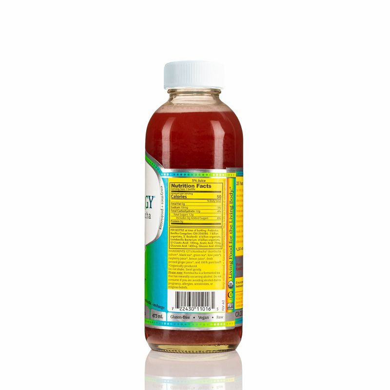 G.T.'s Synergy Trilogy Organic Vegan Raw Kombucha - 16 fl oz Bottle