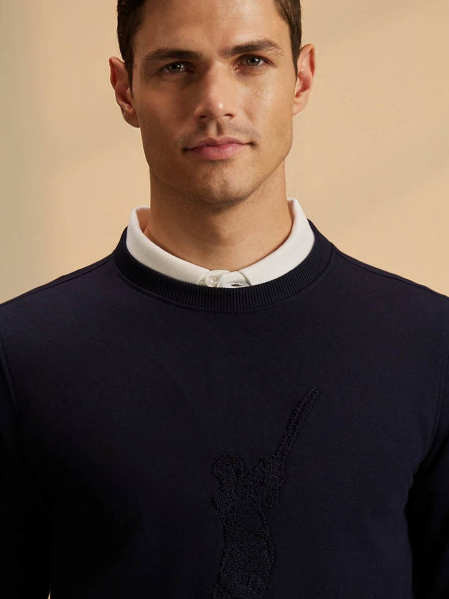 Peter England Casuals Navy Regular Fit Sweater