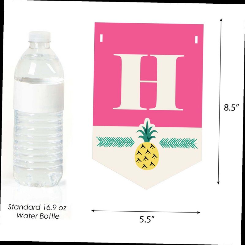 Big Dot of Happiness Pink Flamingo - Party Like a Pineapple - Tropical Summer Birthday Party Bunting Banner - Pink Party Decorations - Happy Birthday