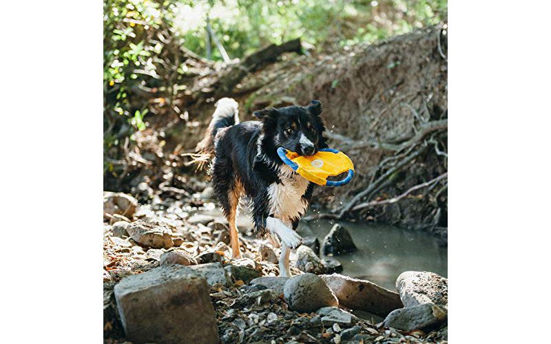 ZippyPaws - Rope Gliderz Durable Outdoor Dog Toy Flying Disc - Yellow
