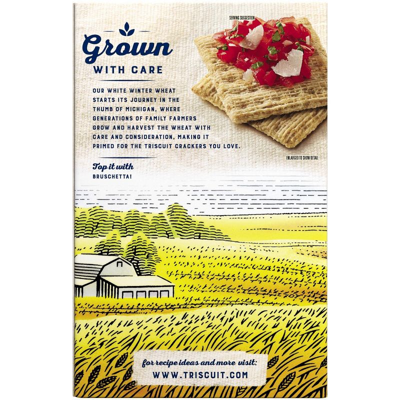 Triscuit Roasted Garlic Crackers - 8.5oz