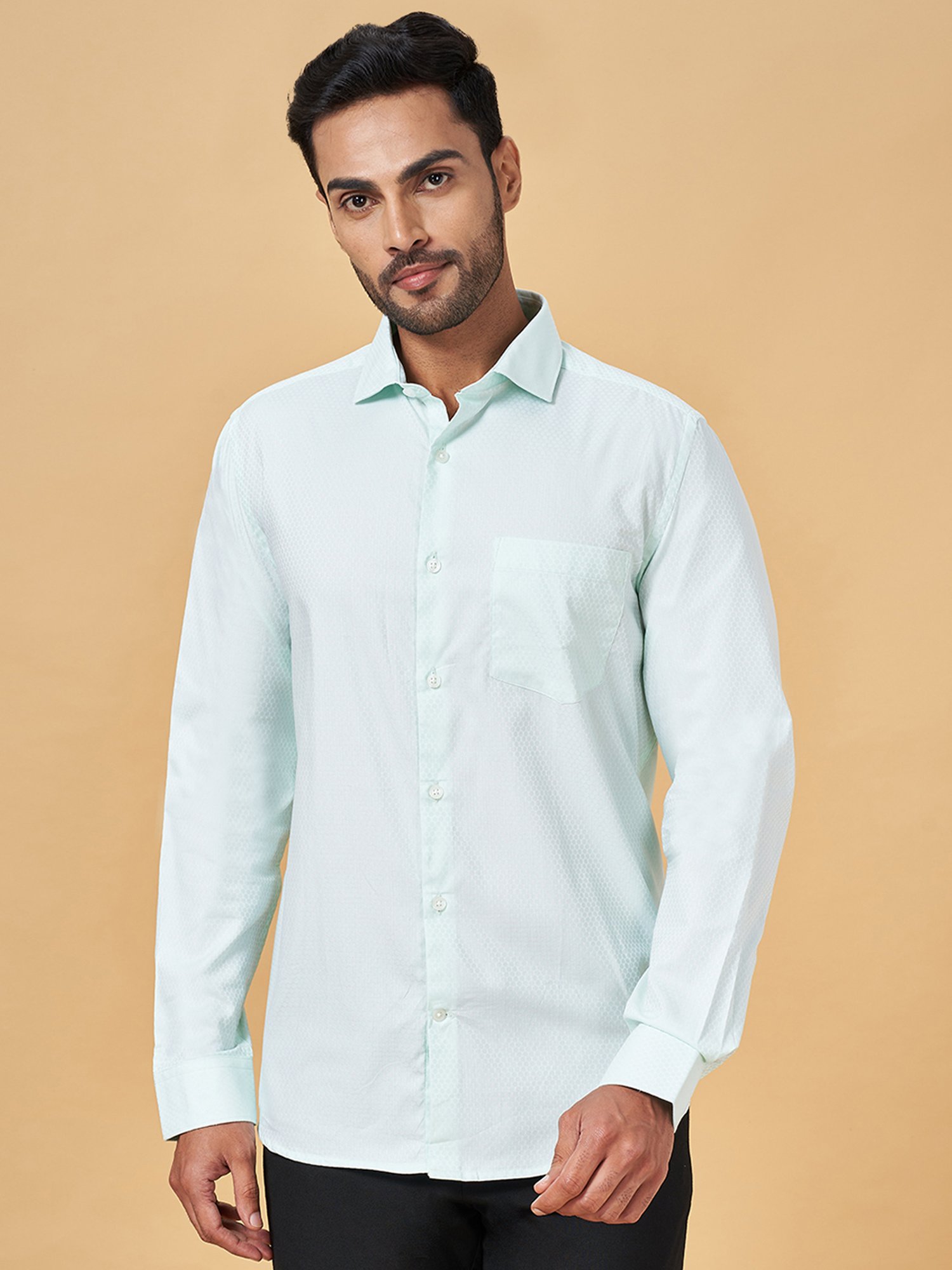 Peregrine by Pantaloons Mint Green Regular Fit Self Design Shirt