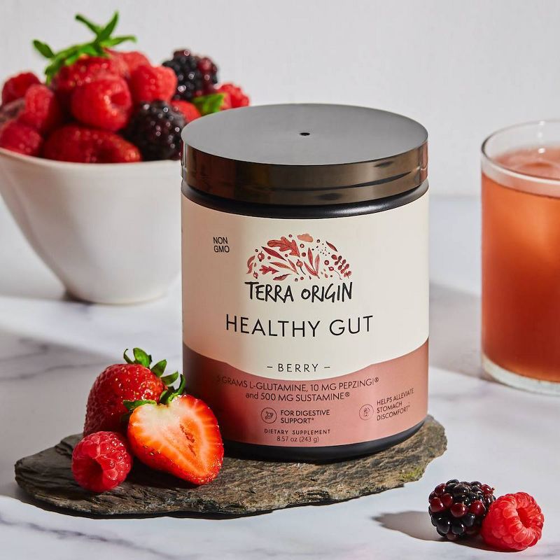 Terra Origin Healthy Gut - Berry - 8.57oz