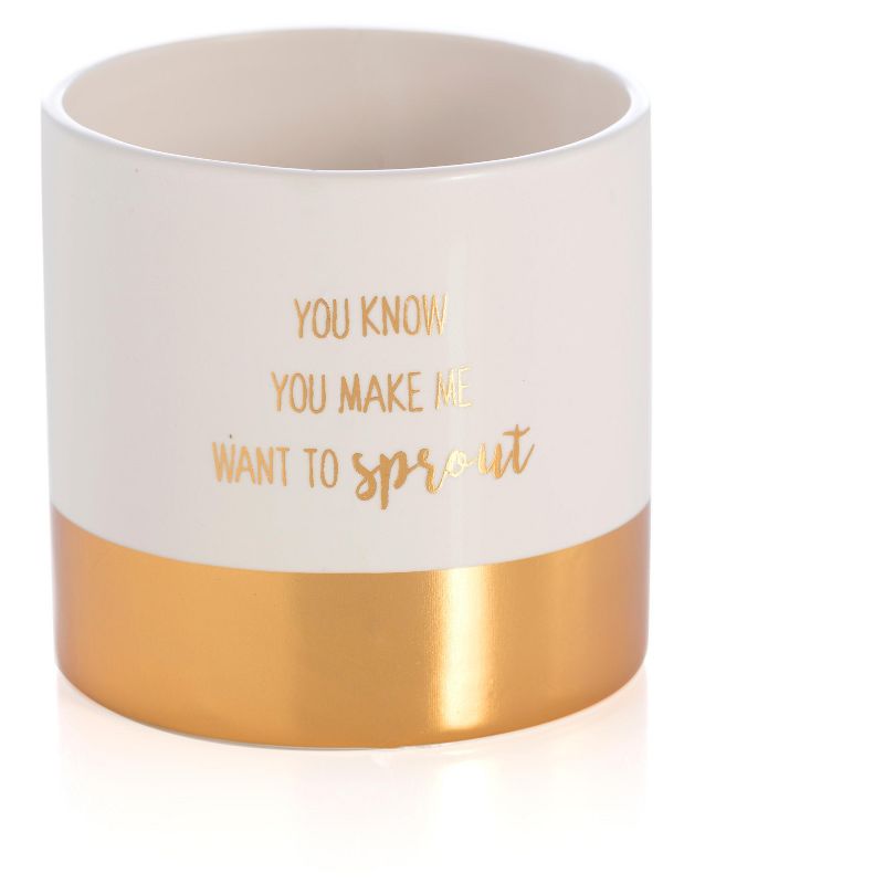 "You Know You Make We Want To Sprout" Planter  - White - Shiraleah