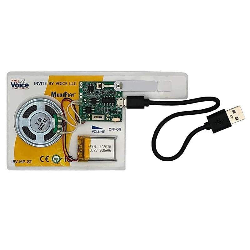 Re-recordable Sound Chip for Greeting Cards | Plays Different Recording Each Time Activated | Add the Power of Sound to Recordable Cards, Scrapbooks, Photo Albums, Personalized Gifts, Crafts