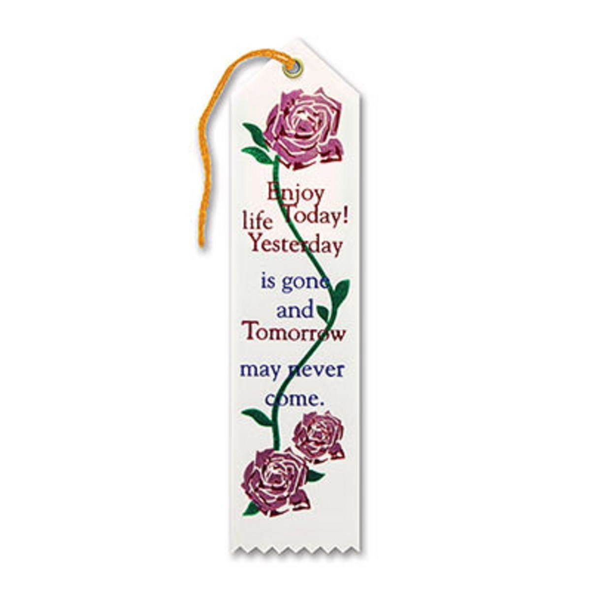 Pack of 6 White "Enjoy Life Today Award" Decorative Award Ribbon Bookmarks 8"