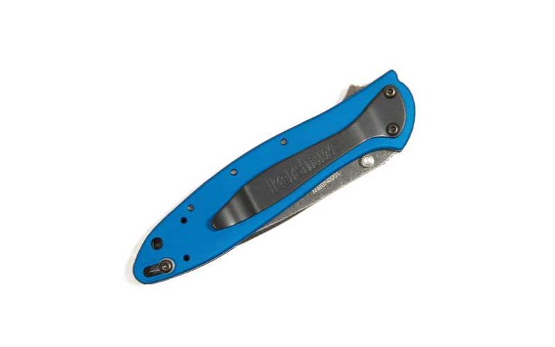 Kershaw 1660NBBW Leek