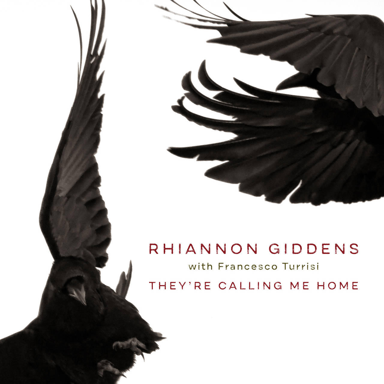 Rhiannon Giddens They're Calling Me Home LP (Vinyl)