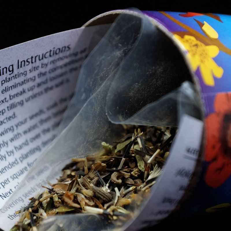 Van Zyverden Roses Mikado Root Stock