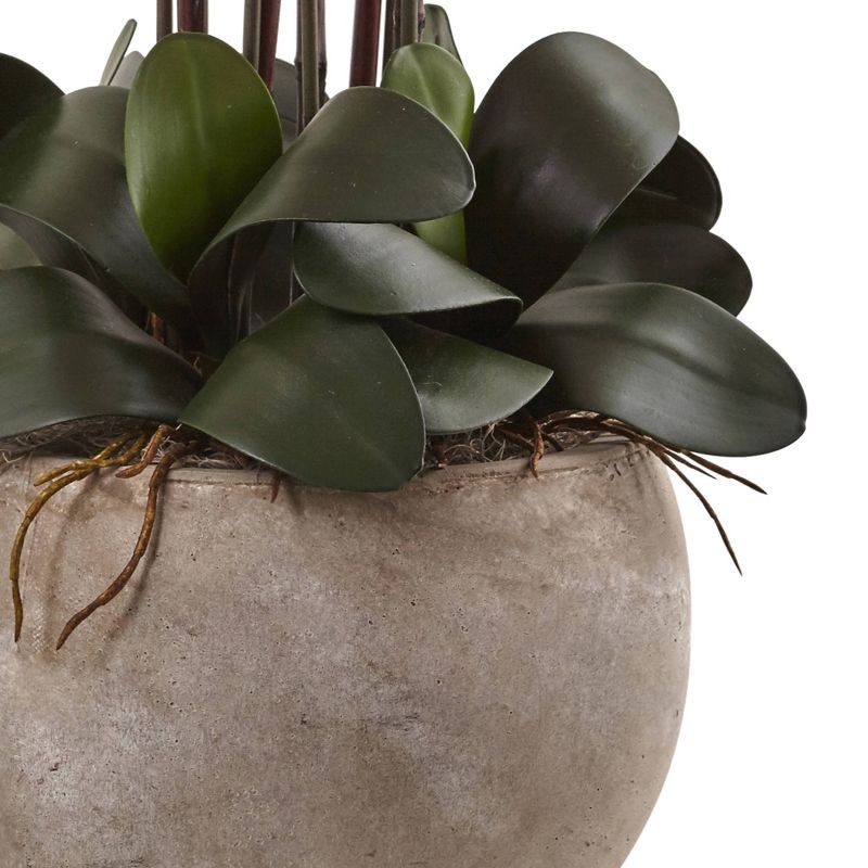 27" x 14" Artificial Rubber Plant in Boho Basket Cream - LCG Florals