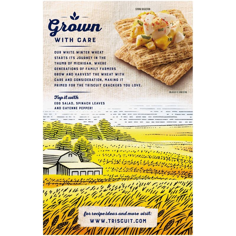 Triscuit Garden Herb Crackers - 9oz