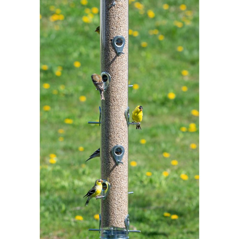 Droll Yankees Classic The Executive B-72 Bird Feeder