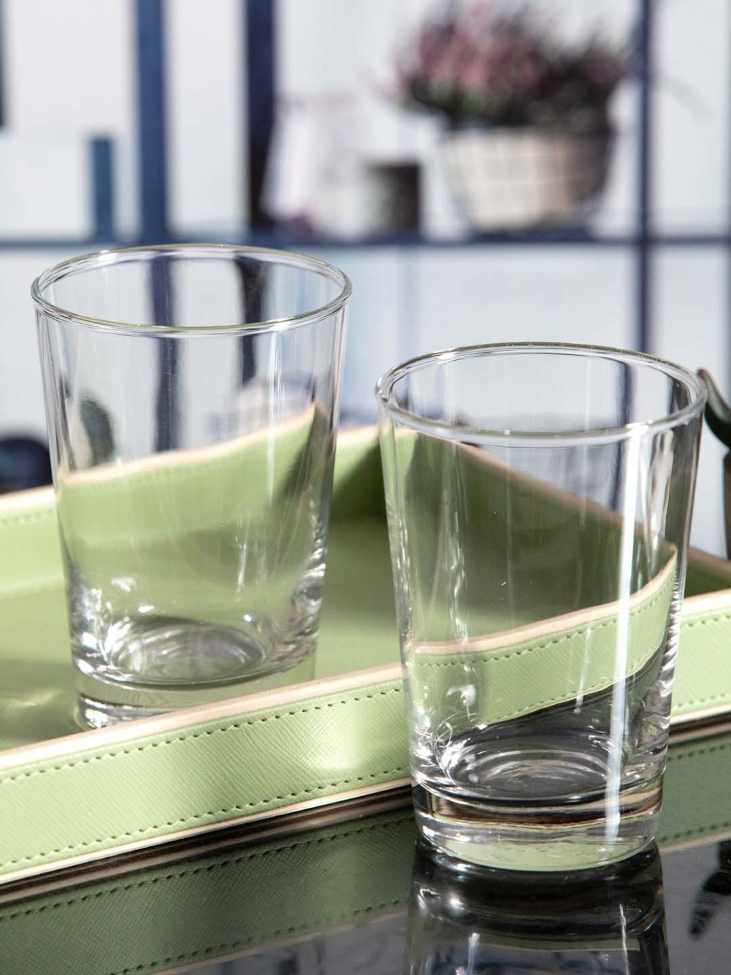 ROXX Magnolia Transparent Glass Tumbler (0.3 L) - Set of 6