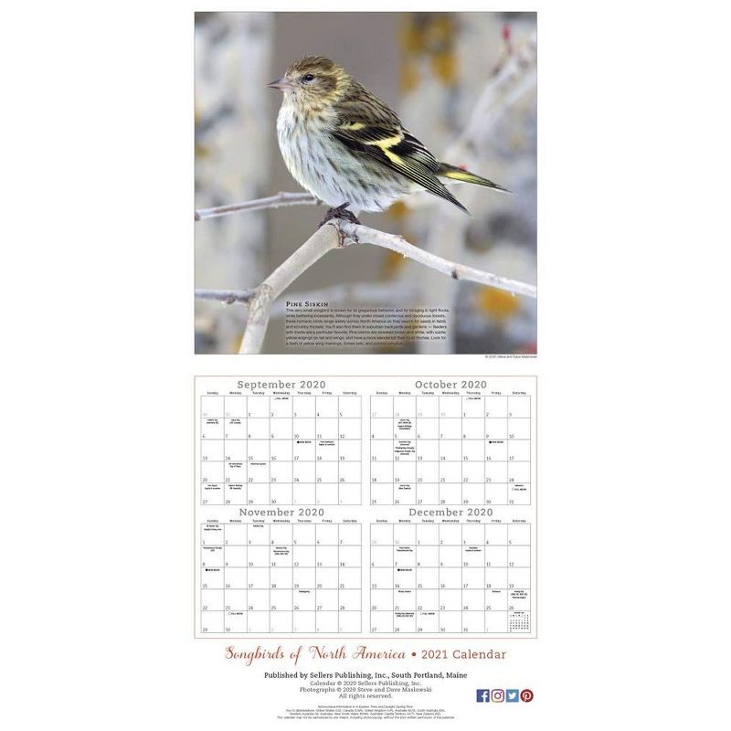Sellers Publishing 2021 Songbirds of North America 16-Month Wall Calendar Sellers Publishing