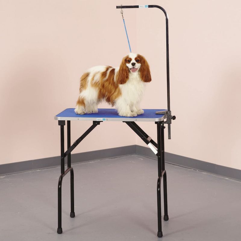 PL360 Shampoo + Conditioner For Dogs -  16oz