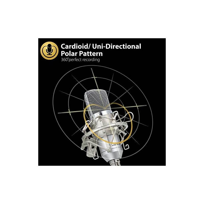 Cardioid Condenser Microphone XLR Noise Deduction 360 Degree UniDirectional Voice Recording with Mount amp Windscreen for PC Gaming Broadcasting Podcasting Studio YouTube amp Tiktok Video