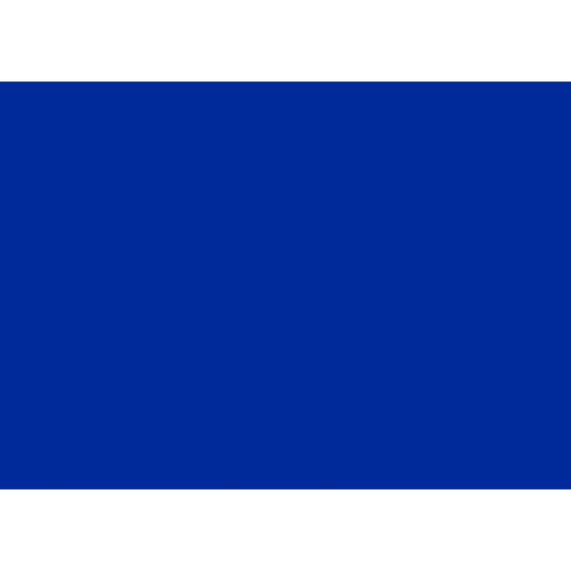 Cricut 2ct Infusible Ink Transfer Sheets - True Blue