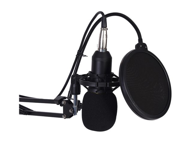 gold--BM800 Professional Suspension Microphone Kit Studio Live Stream Broadcasting Recording Condenser Microphone Set