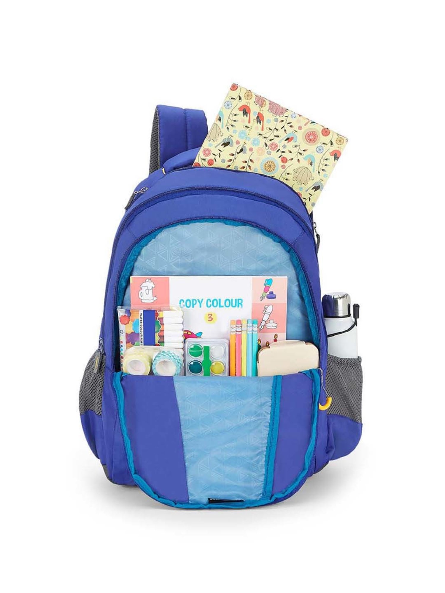 Aristocrat 27 Ltrs Blue Medium Backpack