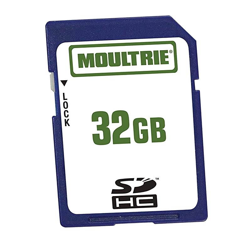 16GB SD Memory Card