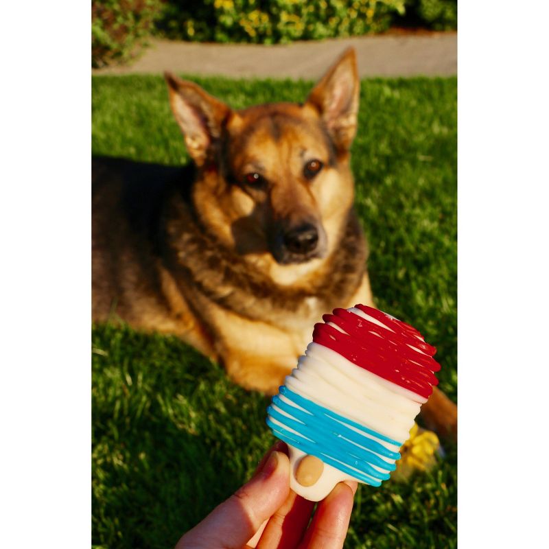 Molly's Barkery Ice Pop Dog Treats - 2oz
