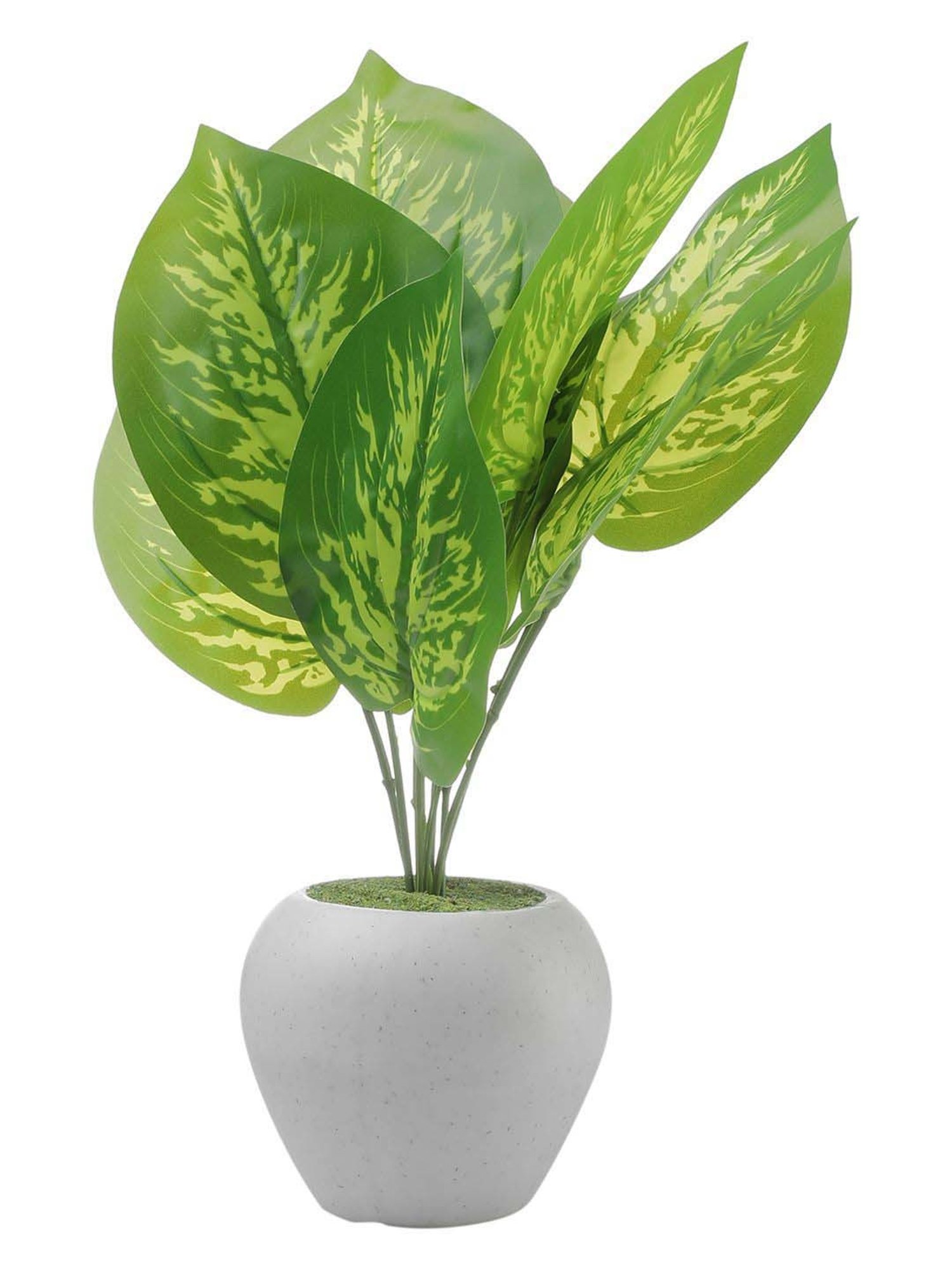 Foliyaj Multicolor Plastic Artificial Money Plant With Apple Shaped Pot
