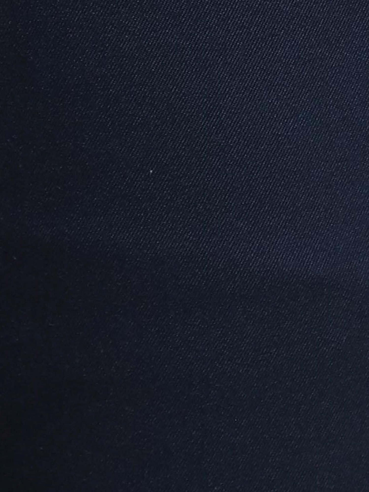 ColorPlus Blue Cotton Slim Fit Trousers