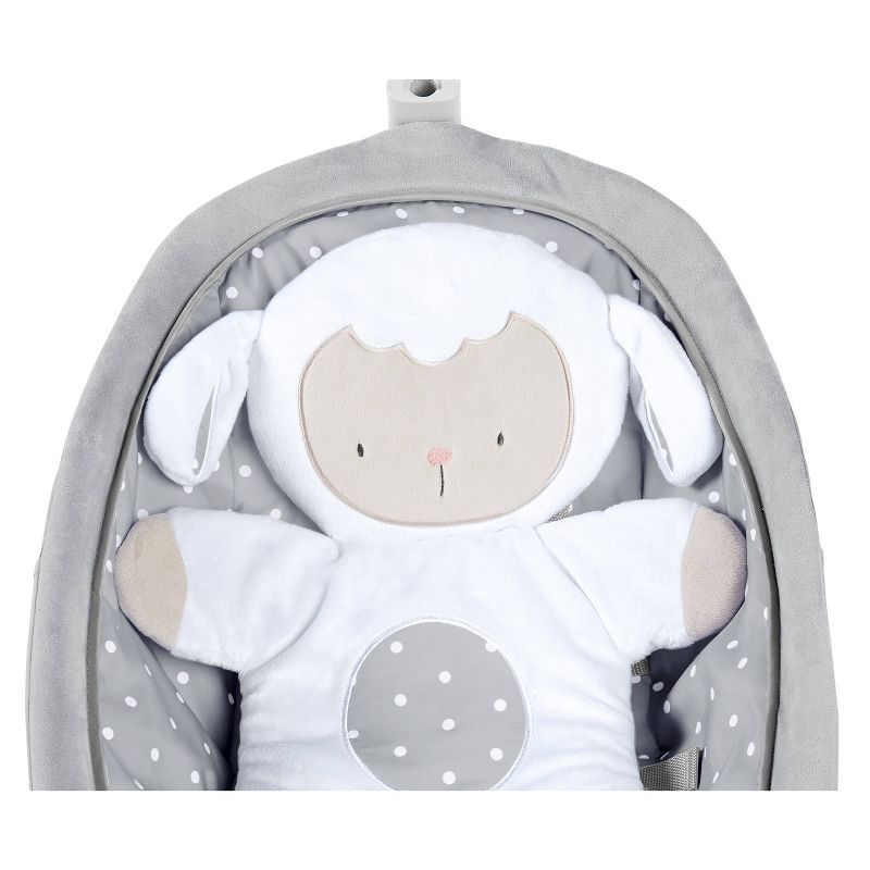 ​Fisher-Price Baby Bouncer