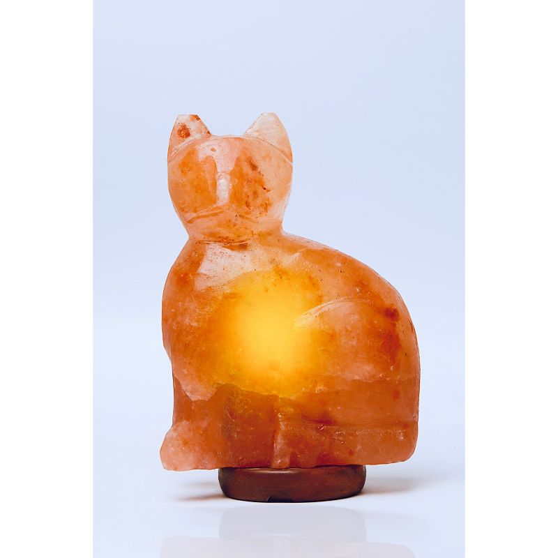 Cat Salt Lamp Pink - Q&A Himalayan Salt