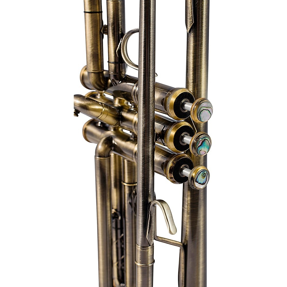 Allora ATR-580 Chicago Series Professional Bb Trumpet Matte Lacquer