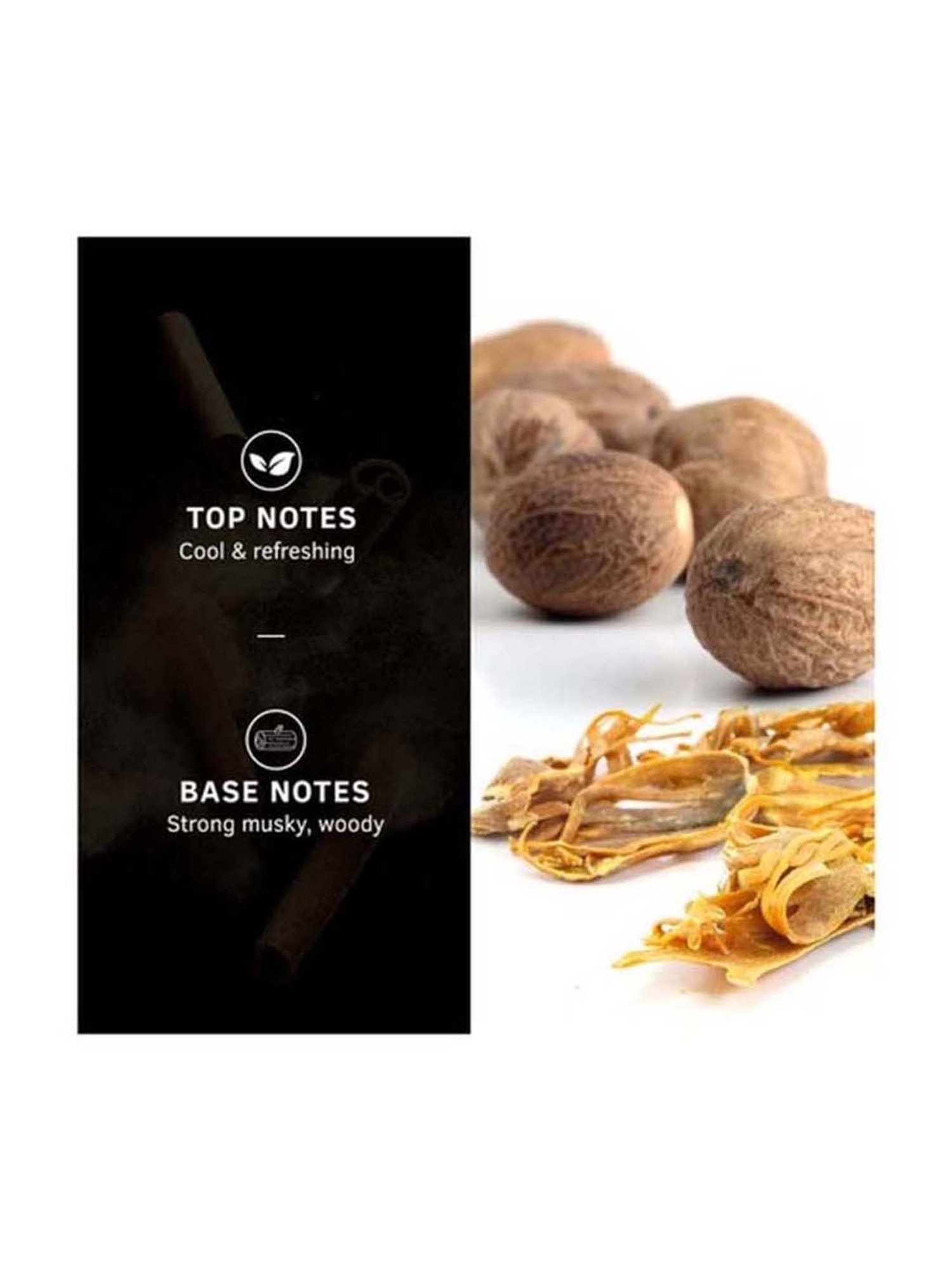 Ustraa Black Deodorant Body Spray & Ammunition Cologne Soap (Pack of 3)