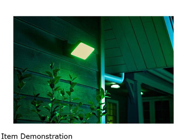 Philips Hue Smart White and Color Ambiance Discover Outdoor Floodlight (Hue Hub Required, Smart Light Works with Alexa, Apple Homekit and Google Assistant)