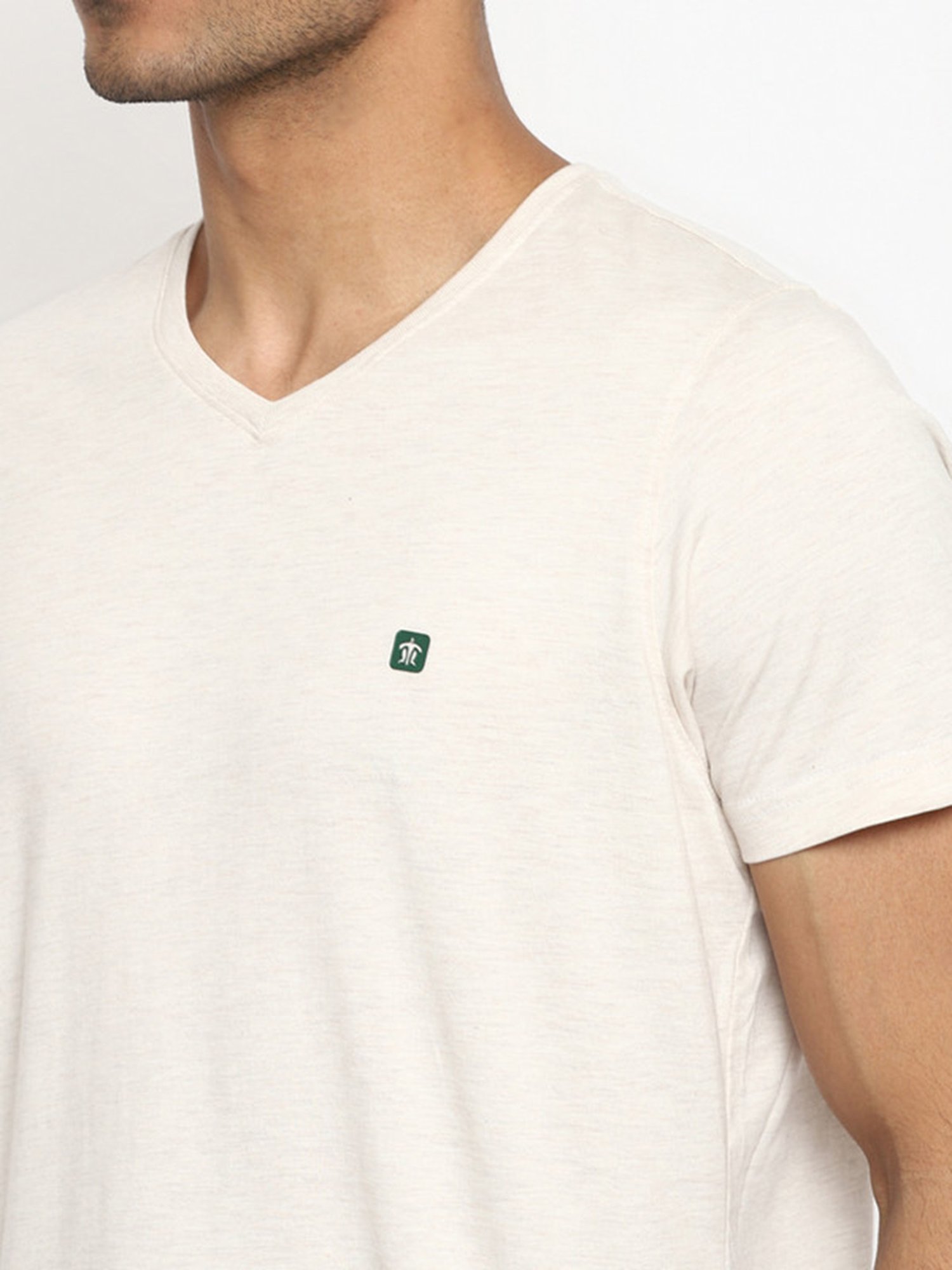 Turtle Assorted V-Neck T-Shirt - Pack of 2