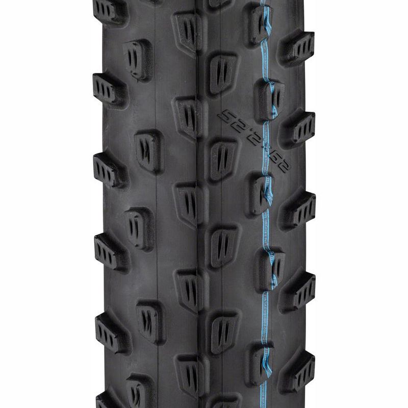 Schwalbe Racing Ray Tire Tires