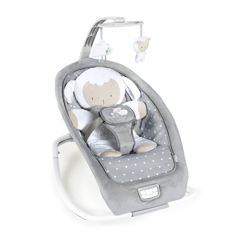 ​Fisher-Price Baby Bouncer