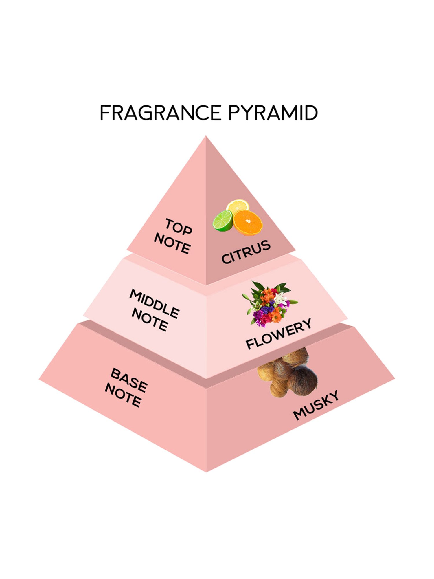 Jaquline USA Bostonorama Eau de Parfum - 10 ml