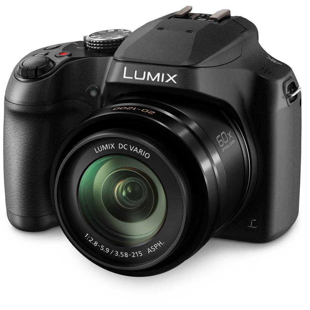 Panasonic Lumix DC-FZ80 Digital Camera - Cleaning Kit - Memory Card Wallet & Reader - 64GB Memory Card - Lens Cap Keeper + More