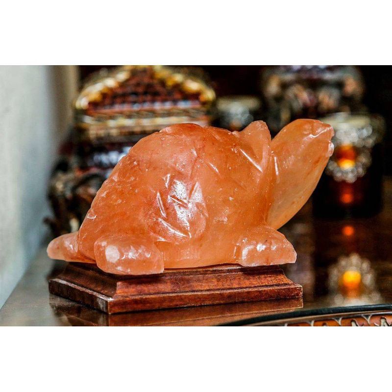 Turtle Salt Lamp Pink - Q&A Himalayan Salt