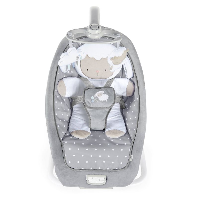 ​Fisher-Price Baby Bouncer